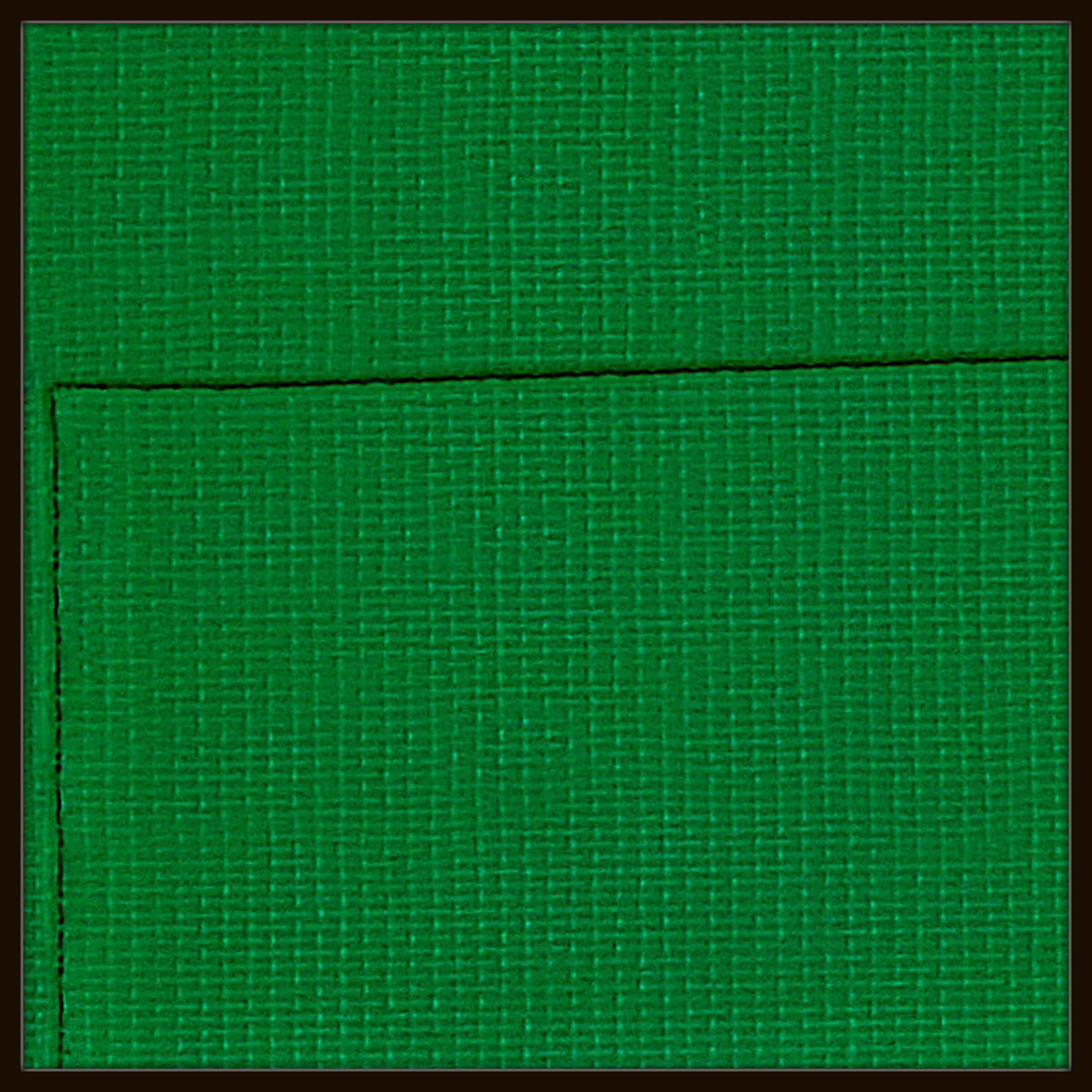 Rubans Vert # 2025.10 Modul Ecke links oben - © Diana Hommel