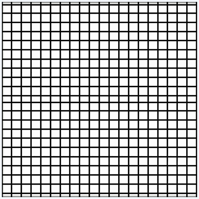 Grille II # 2025.10 - © Diana Hommel