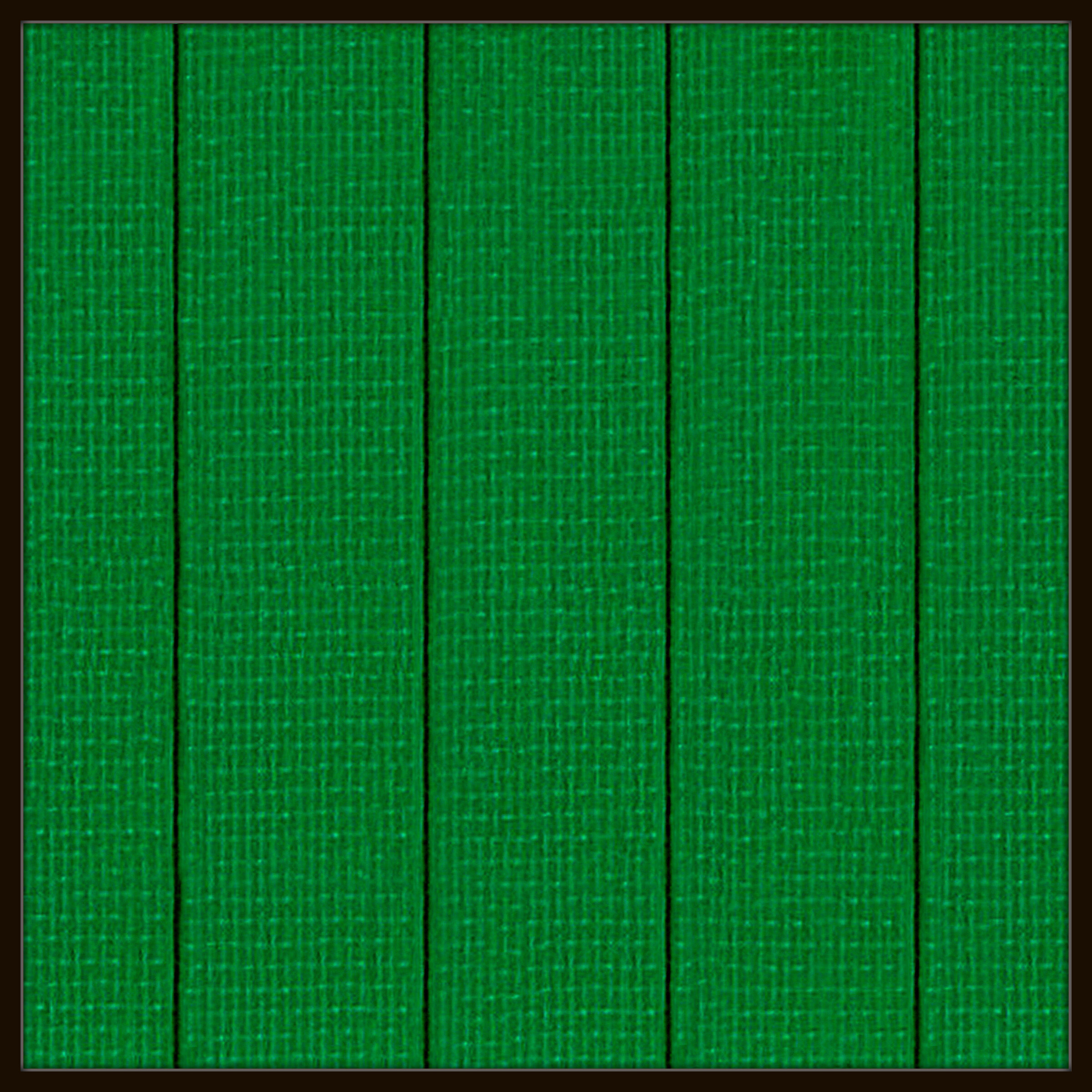 Rubans Vert # 2025.10 - © Diana Hommel