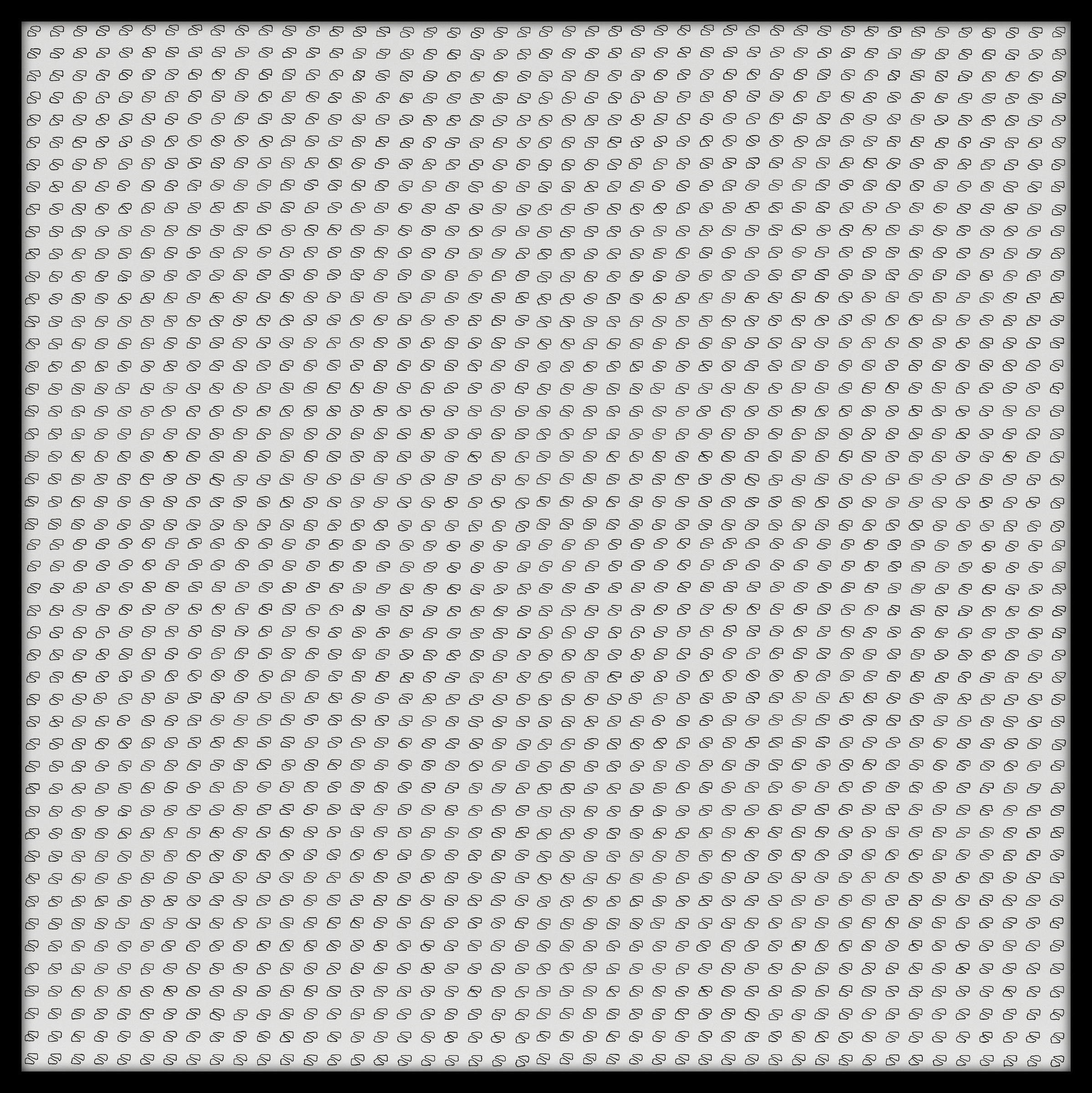 Bannière, Unie # 2025.11 - © Diana Hommel